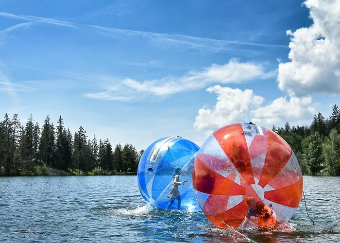 De Marie 克莱恩 蒙塔纳