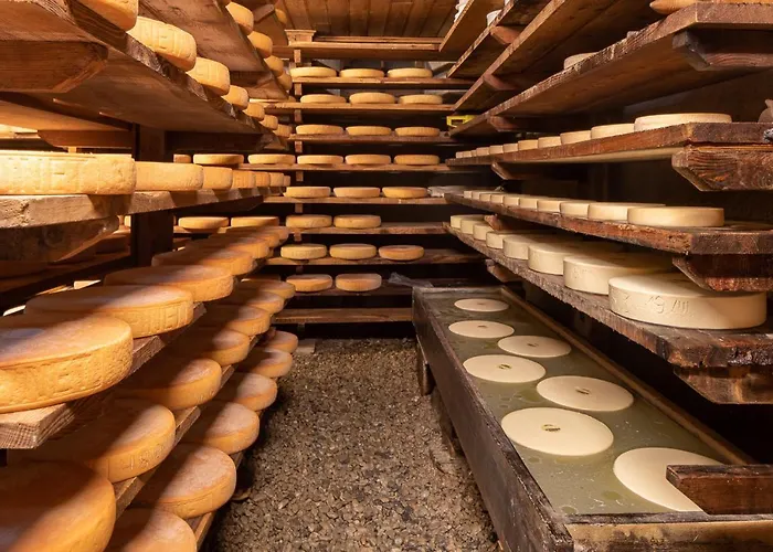 De Marie * 克莱恩 蒙塔纳